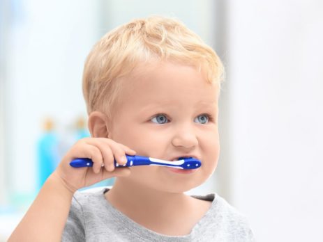 shutterstock 1062016565 1024x683