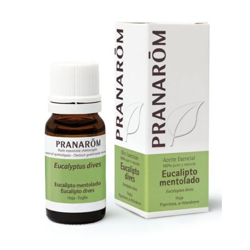 Aceite esencial de Eucalipto Mentolado 100% puro y natural. Indicado como coadyuvante al tratamiento de las afecciones de las vías respiratorias.